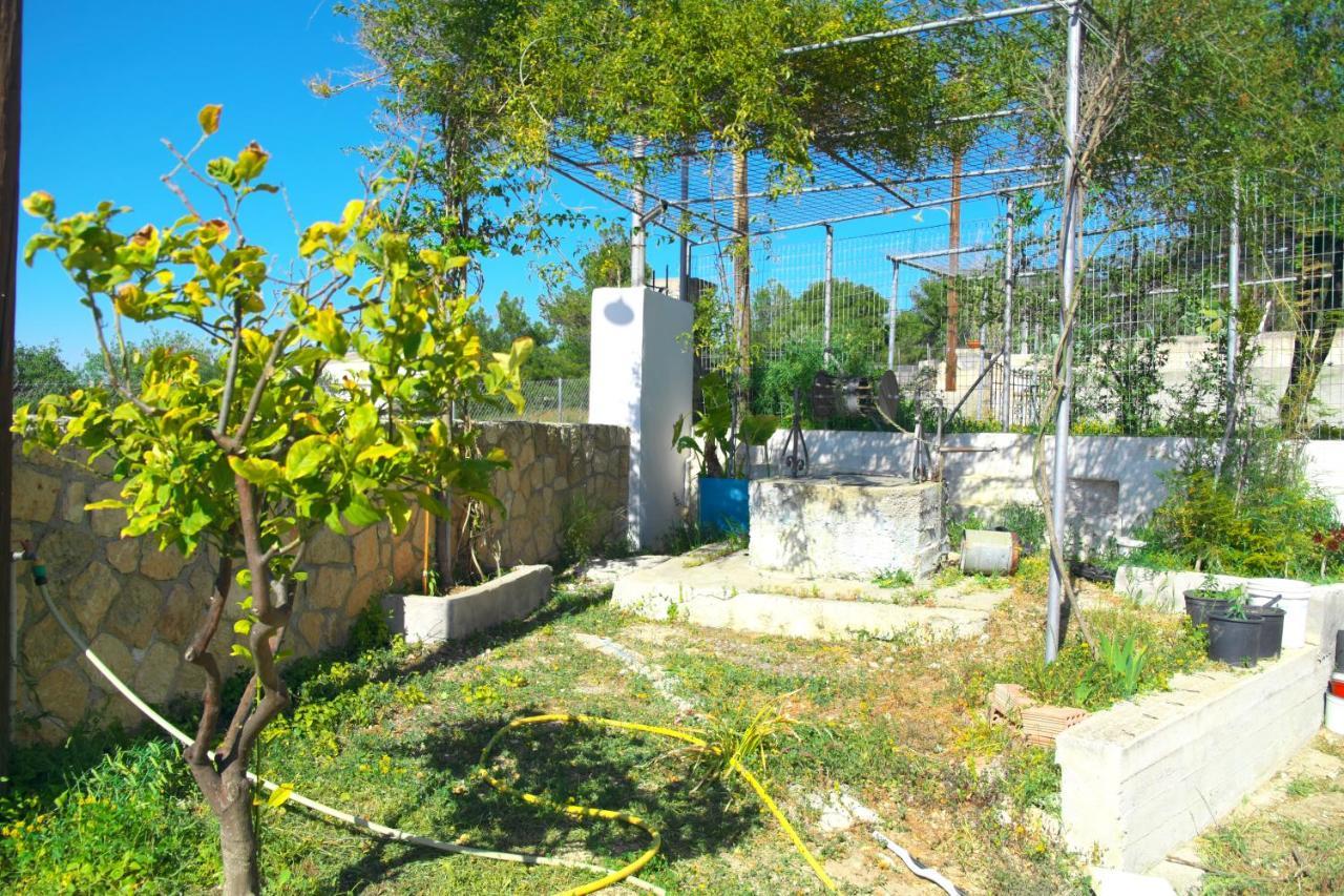 Georgia'S House Villa Aegina Bagian luar foto